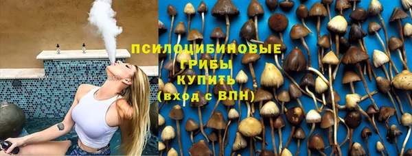 соль ск Алзамай
