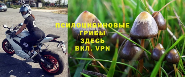 соль ск Алзамай