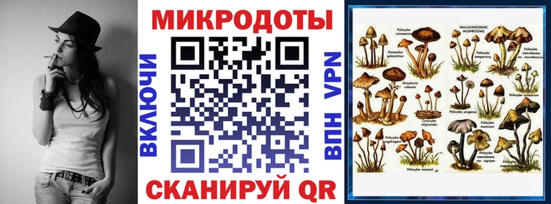 Псилоцибиновые грибы ЛСД  цена   гидра как зайти  Малоархангельск 